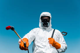 Best Bed Bug Extermination  in Arcade, GA